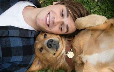 Подборки: Фильмы про животных